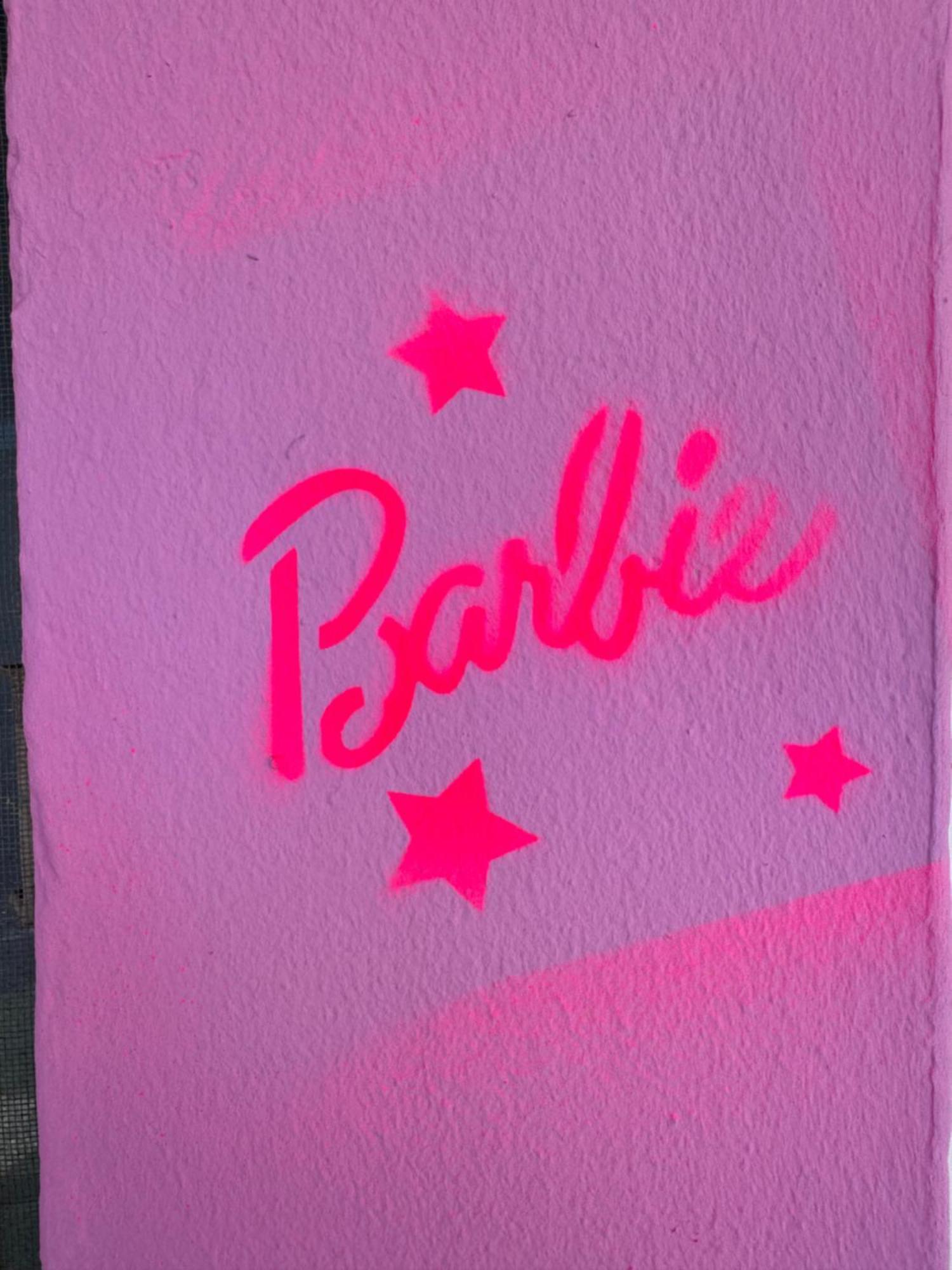 Casa Barbie Costinestiホステル エクステリア 写真