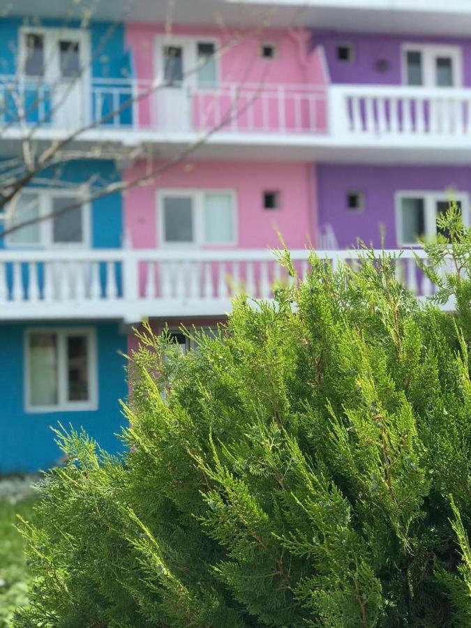 Casa Barbie Costinestiホステル エクステリア 写真