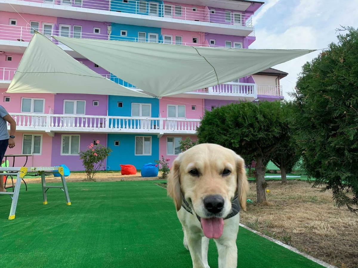 Casa Barbie Costinestiホステル エクステリア 写真